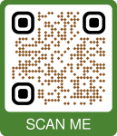 SUMMER SCAN